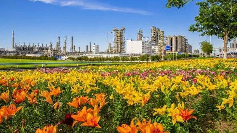 广州纺织助剂代理加盟